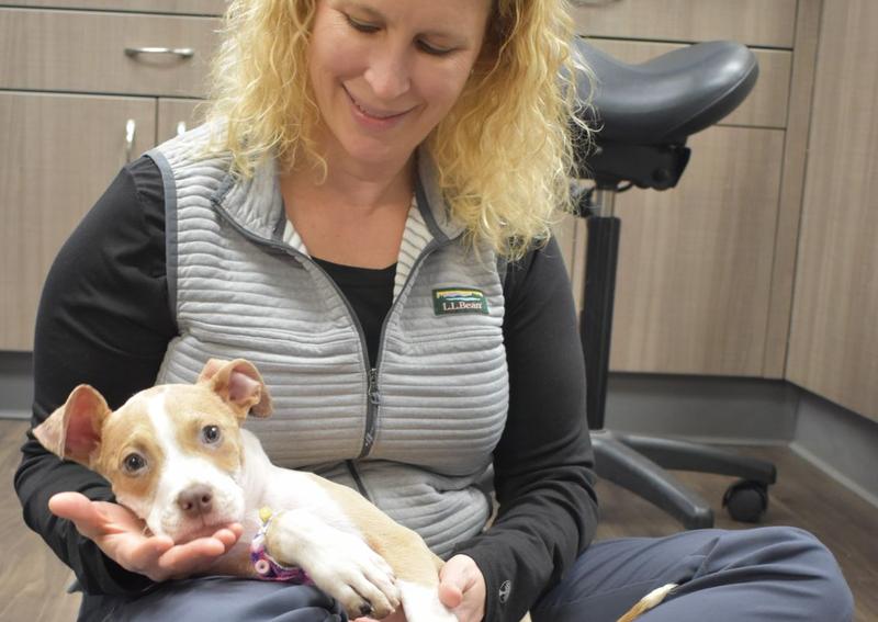 Carousel Slide 6: Veterinary care for all stages of life