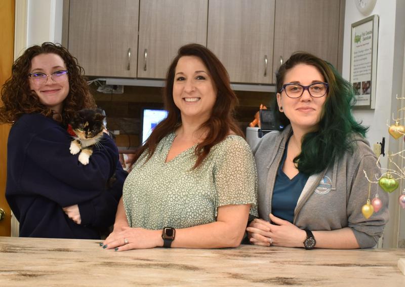 Carousel Slide 5: Meet our amazing veterinary team